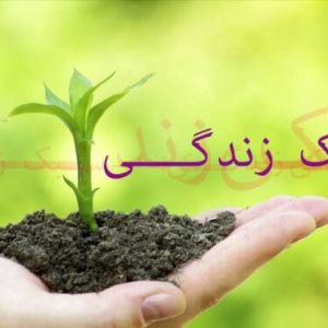 اصالت-ضرورت-اهمیت-تقدم-واجبات-بر-مستحبات-در-سبک-زندگی-دینی-600x372.jpg
