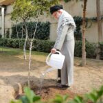 The originality of the movement lies in the maximum planting of profitable and beneficial trees.