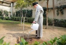 The originality of the movement lies in the maximum planting of profitable and beneficial trees.