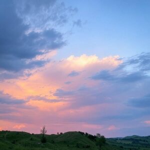 The Principle of Instrumental Attention to the Beauties of Nature in the Home and Family Environment for Understanding Wilayi (Guardianship-related) Beauties