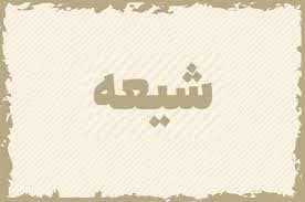The Principle of Shi'a Benefiting from Special Symbols