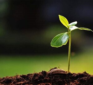 Authenticity: The desired governance is founded on building a stable society.