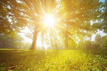 Authenticity of the Gradual Nature of the Reappearance Process and its Connection to Widespread Political-Social Transformations