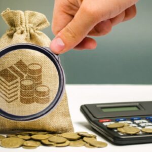 اصالت جلوگیری از نفوذ اقتصادی عناصر ذی‌نفوذ سیاسی در نظام مالی کشور