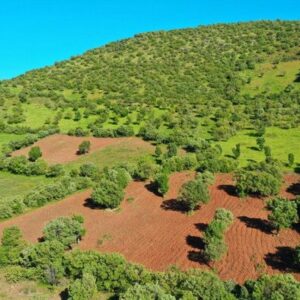 اصالت عدالت در واگذاری زمین‌های منابع طبیعی و فعالیت‌های کشاورزی