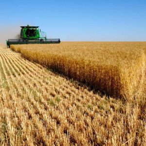 اصالت شفافیت و کارآمدی سیاست‌های ارزی بر بازار نهاده‌های کشاورزی