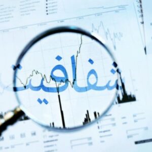 اصالت ضرورت شفافیت مالی نهادهای عمومی