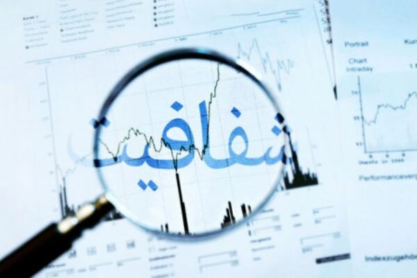 اصالت ضرورت شفافیت مالی نهادهای عمومی