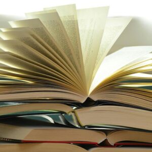 اصالت لزوم فهم و شناساندن فرهنگ و ادبیات سیاسی و فرهنگ دیپلماسی ایرانی به جهان