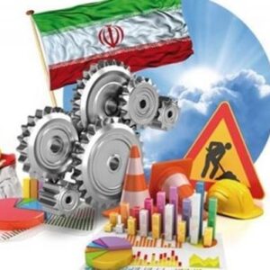 اصالت ناکارآمدی فعالیت‌های نهادی در صنعت تولید داخلی