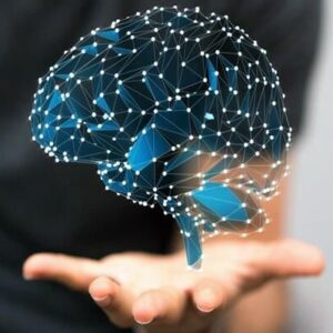 اصالت ارتقای توانمندی‌های ملی و حداکثرسازی بهره‌وری صادرات نفت برای مقابله هوشمندانه و پایدار با فشارهای حداکثری دشمن