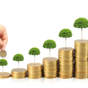 اصالت تقوم تحقق میزان رشد اقتصادی به رویکردهای درون‌زا آنهم با همسویی سیاست‌ها