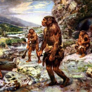 اصالت مقام‌شناسی و تحلیل ماهیت نسناس در منظومه خلقت