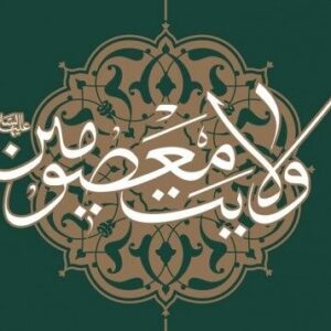 اصالت هماهنگی لفظ، قدم و نیّت در ورود به هرگونه فضای قدسی مقام ولایت أهلالبیت