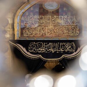 اصالت ولایت تام و انحصاری امیرمومنان از برای اتصال به امام زمان