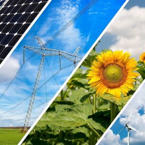 اصالت پرهیز از سیاست تثبیت قیمت منابع انرژی