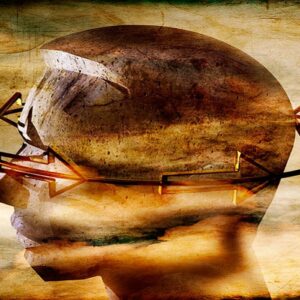 اصالت امکان بی‌نهایت بودن ماهیات حیوانی ناشی از غبطۀ قوای وهمیه و خیالیه