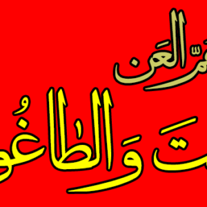 اصالت بهره از مقام انطباق آیه‌ای بر مصادیق خاص جهت مبارزه با غصب غاصبان خلافت