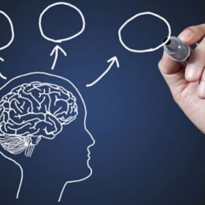 اصالت بهرة جنیان از نظرورزی‌های استدلالی به هنگام دریافت‌های معرفتی