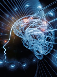 اصالت توان نور ولائی تکوینی انسان جهت تعالی شاکله باطنی انسان در تقابل با قوای وهمی و حیوانی