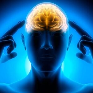 اصالت ضرورت اهتمام انسان ولائی در جلوگیری از غلبه قوای وهم و خیال و قوای شهوتیه و غضبیه بر او