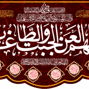 اصالت ضرورت بیزاری قلبی از غاصبان سقیفه‌ای خلافت