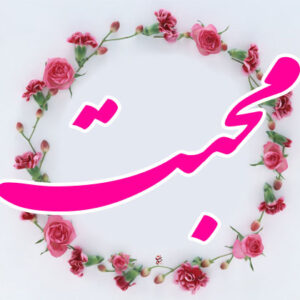 اصالت ضروری بودن تأثیر محبت‌های اشرابی قلبی در شکل‌دهی پیوندها به صورت یک امّت واحده و لو از نوع امّت‌های ضالّه