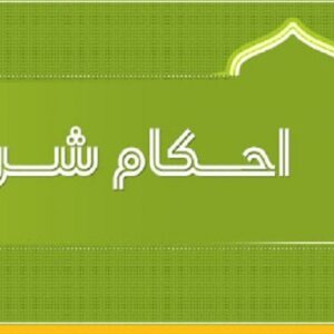 اصالت نفی مشروعیت لذت‌جویی دنیوی صرف و تأکید بر اطاعت از احکام شرعی و ولایت امر