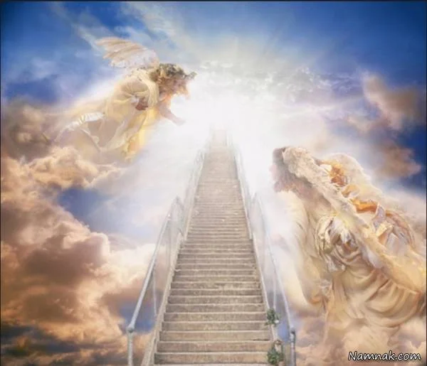 اصالت وحدت حلقوی اجزای عرش واتصال نوری میان ارکان هستی درساختارعرشی