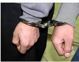 اصالت امکان بهرهگیری از ابزارهای متنوع جایگزین حبس برای انطباق دقیق مجازات با شرایط فردی و اجتماعی مجرم