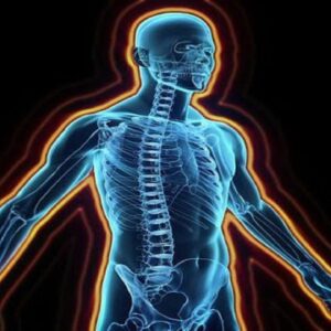 اصالت تناسب ساختاری انسان با نیازها و مطلوب‌ها