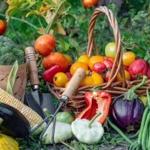 اصالت ضرورت بازنگری در منطق بهره‌وری منابع طبیعی و ارزش‌افزوده محصولات کشاورزی