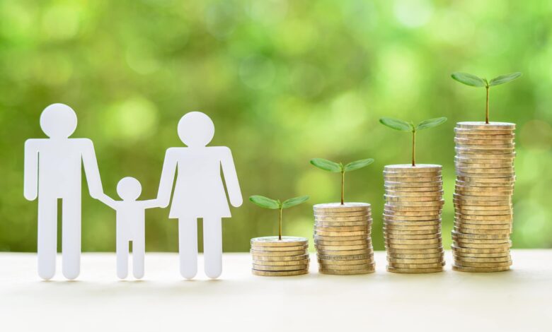 اصالت ضرورت تقویت پس انداز خانوادگی از سوی زنان برای پایداری اقتصاد خانواده و امنیت آرام بخش روابط زن و شوهر امروزی