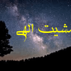 اصالت مشروط بودن کارکرد فهم موضوعات تصرّفیه به انطباق ماشائیّه آن‌ها با مشیّت الهی