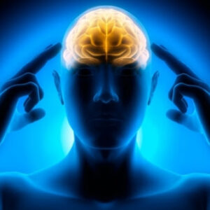 اصالت پیوند ساختاری میان سامان‌دهی هدفمند ذهن و پدیداری تمرکز پایدار در فرآیند شکل‌دهی نسل