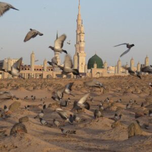 اصالت استمرار عدالت الهی حتی پس از مرگ بخصوص در تعیین مواضع قبور