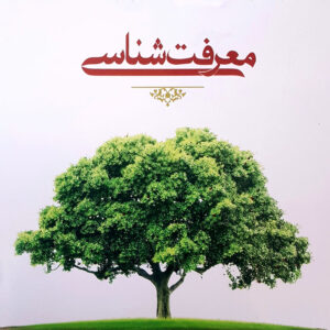 اصالت افزایش دقت تشخیص انسان با پالایش متوالی و زدودن لایههای ادراکی کاذب