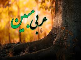 اصالت به زبان عربی مبین بودن زبان اهل بیت علیهم السلام