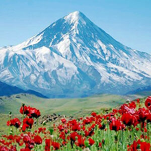 اصالت تأثیر باور و انتظار انسان بر تجربههای عملی و نتایج روانی در کنار اثرات طبیعی اشیاء