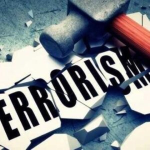 اصالت تحقق تروریسم دولتی با حمله رسمی و یا غیررسمی کشور متخاصم علیه حاکمیت ملّی