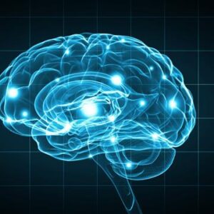 اصالت تعريفشدن حدّ جوهر تعبّديه به مرتبه طينيت جسمانيه