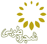 اصالت جایگاه ویژه و نورانی شجره طوبی به امانت‌داری حقیقتِ فاطمی و اتصال الهی