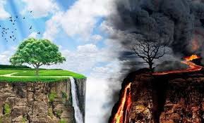 اصالت حجمی، وزنی و تعدادی بودن درآمدهای حاصل از تجاری شدن جواهر تعبدیه ولائیه