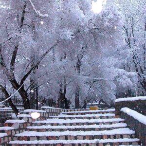 اصالت ضرورت شناخت ریشه‌های آیینی و پیامدهای فرهنگی آن در برگزاری جشن‌های زمستانی باستانی ایران