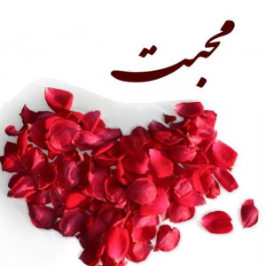 اصالت تأثیر محبتهای دنیوی کوچک تعیینکننده لحظههای پایانی زندگی