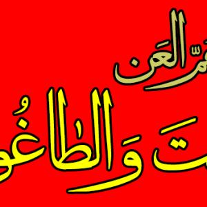 اصالت تحقق مخالفت با خلافت امیرمؤمنان با استفاده از زور و قدرت تسخیر