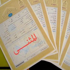 اصالت لزوم دادن فرصت ثانویه به صدور سند مالکیت المثنی جهت حفظ حقوق مومنان و جلوگیری از مزاحمت شیاطین در اموال عمومی