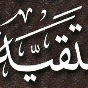اصالت تعریف راهبرد‌های تقیه ای از سوی اهل البیت (ع) درمورد عامه، بر ایجاد اختلاف حکمی میان فقیهان خود آنان (جهت جلوگیری از حاکم شدن یک فقیه بر آنان) هضم شدن احکام عامه در داده‌های ولایی